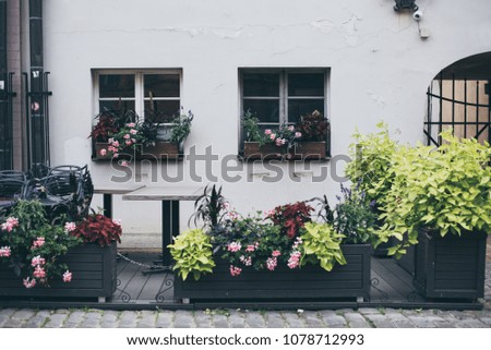 Old house and windows decorated with colorful petunia and other bright flowers in medieval town.