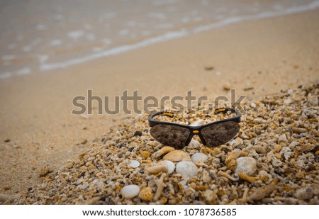 Glasses placed on the shells at the beach.