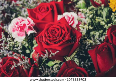 Red roses .Vintage picture tone.