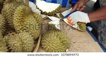 The hands are peeling durian