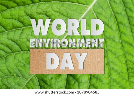 Paper cut of World environment day on green leaves background