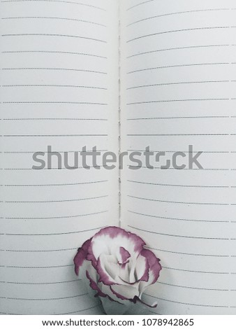 Small rose flower in notebook
