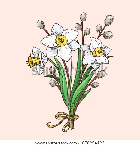 Hand drawn narcissus and willow branches bouqet. Beautiful yellow and white flowers. Spring symbol.