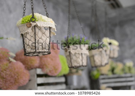 flower pots in the indoor garden