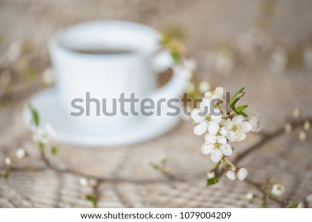 Coffee break in springtime with flowering shrubs.