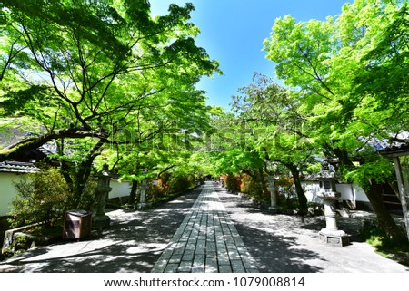 Japanese temple with fresh green