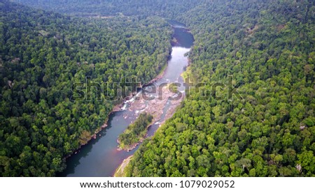Rainforest aerial drone photo