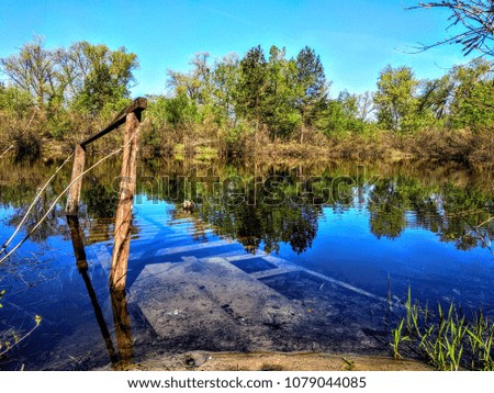 Wooden bridge under the mirror water in the forest