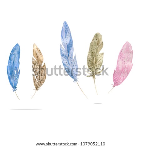 Watercolor Feather Grey Pink Blue feathers drawing handdrawn bird boho painting aqurelle simmilar geometric illustration on white background