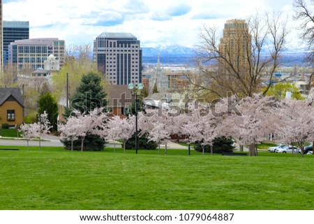 Salt Lake City, Utah City Skyline. Photo taken from the State Capitol steps. Great view of the mountain range and blooming Cherry Blossom Trees