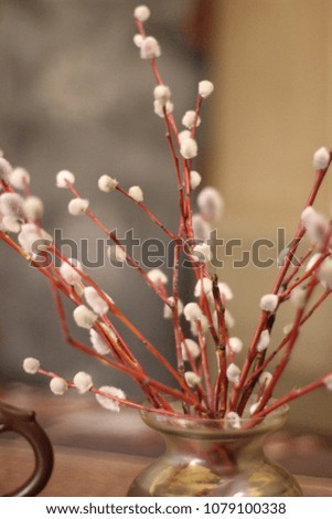 Willow branches in a vase