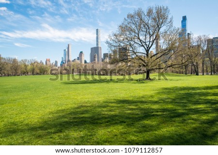 A scene from Central Park in New York City with the skyline in the background on a sunny spring day.