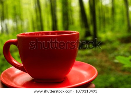A red cup of tea on the nature. Fragrant drink. Spring morning forest.