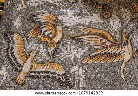 Mosaic flooring. birds. Detail. Cathedral of the Resurrection of Christ in Podgorica, Montenegro Royalty-Free Stock Photo #1079142839