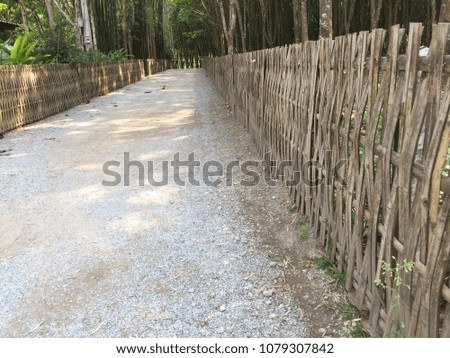 Bamboo fence looks beautiful