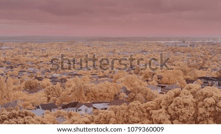 Landscape in false colors taken with an infrared modified camera