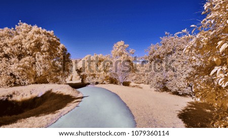 Landscape in false colors taken with an infrared modified camera