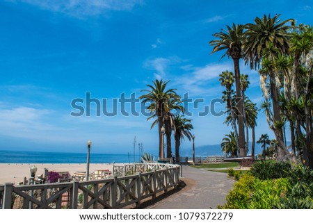 Santa Monica park, California. The picture was taken in April 2018