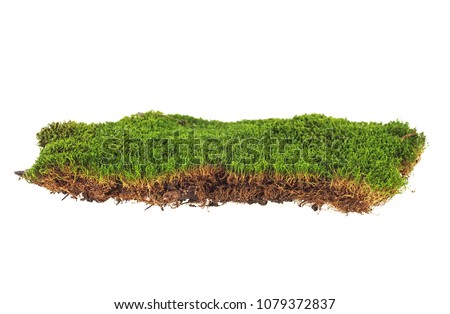 Green moss on white background Royalty-Free Stock Photo #1079372837