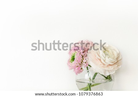 
Ranunculus in a vase on a white background, is on the table in the interior.