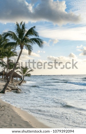 View of green palms and bungalows on sandy coastline of Playa del Carmen with blue waves running on shore.