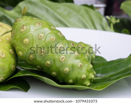 Indian Mulberry fruits, Noni fruits with green leaves.