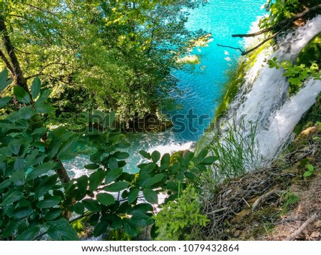 jungel waterfall tree Lake