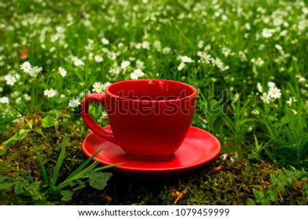 A red cup of tea on the nature. Fragrant drink. Spring morning forest. flower meadow