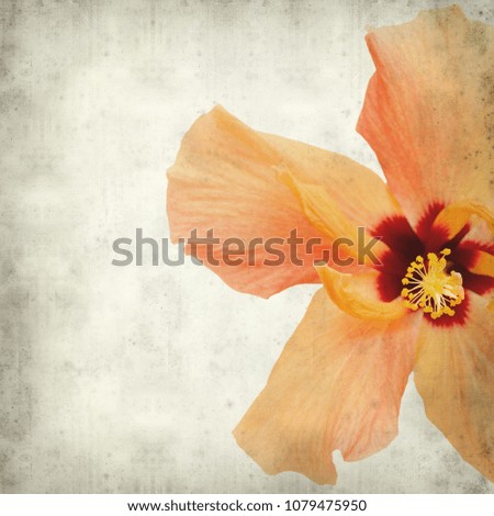 textured old paper background with light orange hibiscus flower 