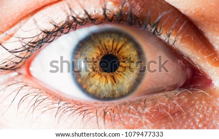 green detailed eye