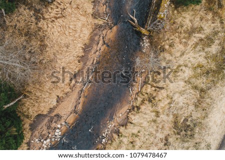 Aerial view on beautiful and wild forest river surrounded with pine trees, nature from above 