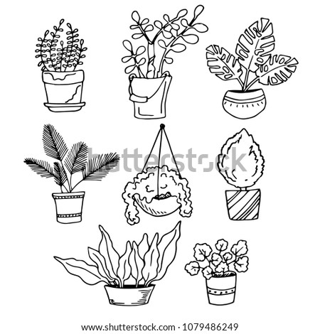set of sketches with houseplants in pots, black and white image on white, hand drawing style, vector illustration