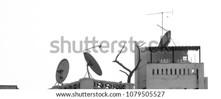 Satellite Dishes, TV Areials and Trees on the Roof Top of a Building in Muscat - Oman