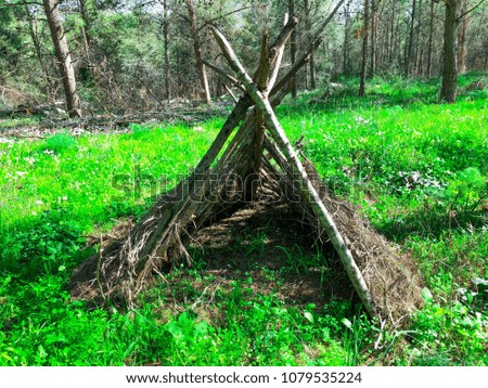 Primitive branch hut in the woods of the forest.