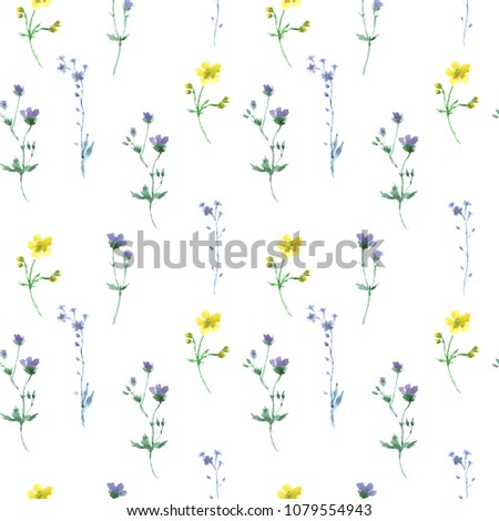 Seamless watercolor pattern with summer flowers. Wildflowers
