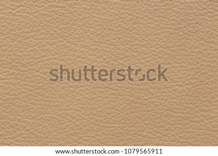 Classic leather texture in perfective beige colour. High resolution photo.