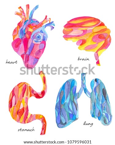 Watercolor artistic human organ on white background, heart, brain, stomatch and lung.