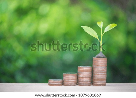 Plant growing up on the growing coin stack with nature background for financial growing concept