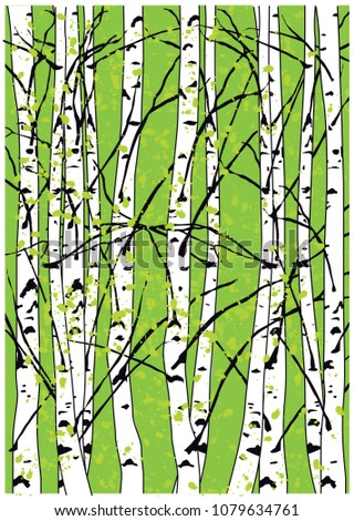 Color vector illustration of beautiful spring birch trees. Green birch forest painting.