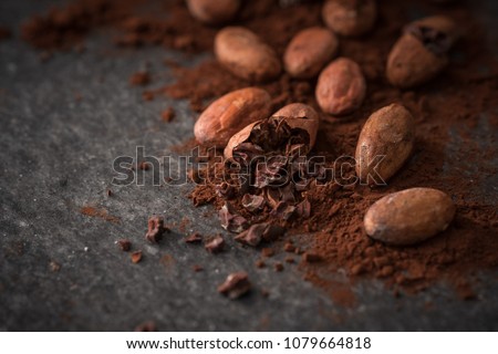 cacao beans and cacao powder on dark background  Royalty-Free Stock Photo #1079664818
