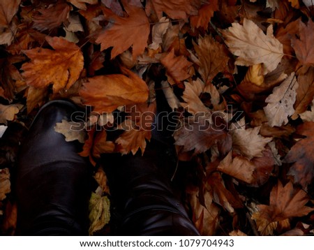 Ladies Boots in Autumn leaves. 