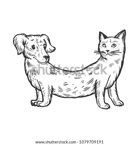 Cat dog fake animal engraving raster illustration. Scratch board style imitation. Black and white hand drawn image.