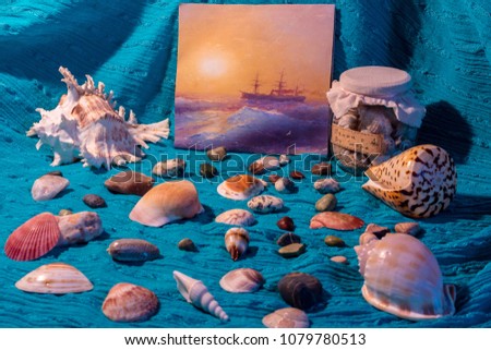 Sea Still Life with shells 
Russian inscription on the jar is: Remember about the sea