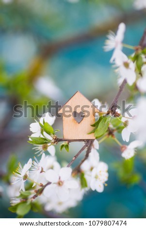Wooden house with hole in form of heart surrounded by flowering branches of spring trees. Spring composition. Concept of sweet home.