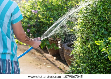 Housemaid girl hand hold blue rubber hose and close hole by thumb finger to make water spray with blurred sunlight foliage bokeh background. Garden and Housework concept.