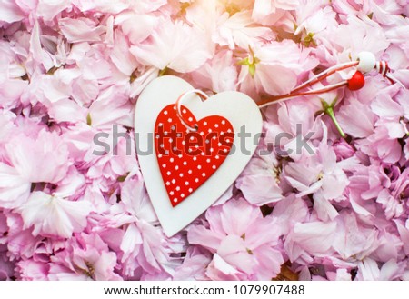 Wodoen table with heart. Red heart. VDay. Stately flowering Japanese cherry. Sakura. Flowering Japanese cherry. Top view. Green leafs. A lot of pink flowers. Top view.
