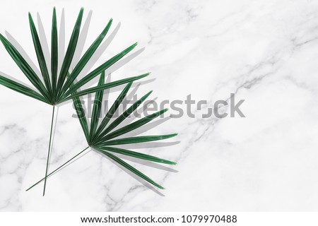Green tropical leaves on white marble background.