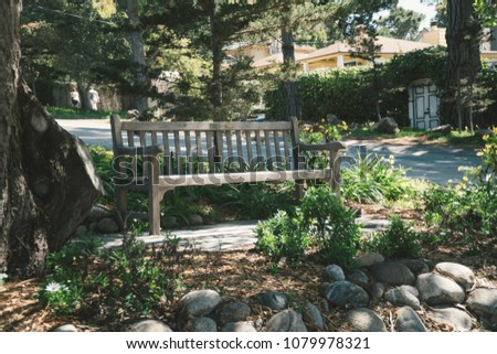 Single Wooden Bench on Sunny Noon Day in Forest Nature