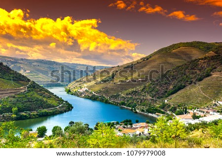 Travel in River Douro region in Portugal among vineyards and olive groves. Viticulture in the Portuguese villages at sunrise Royalty-Free Stock Photo #1079979008