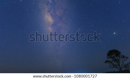 Milky way over  tree. universe space shot of milky way galaxy with stars on a night sky background.
